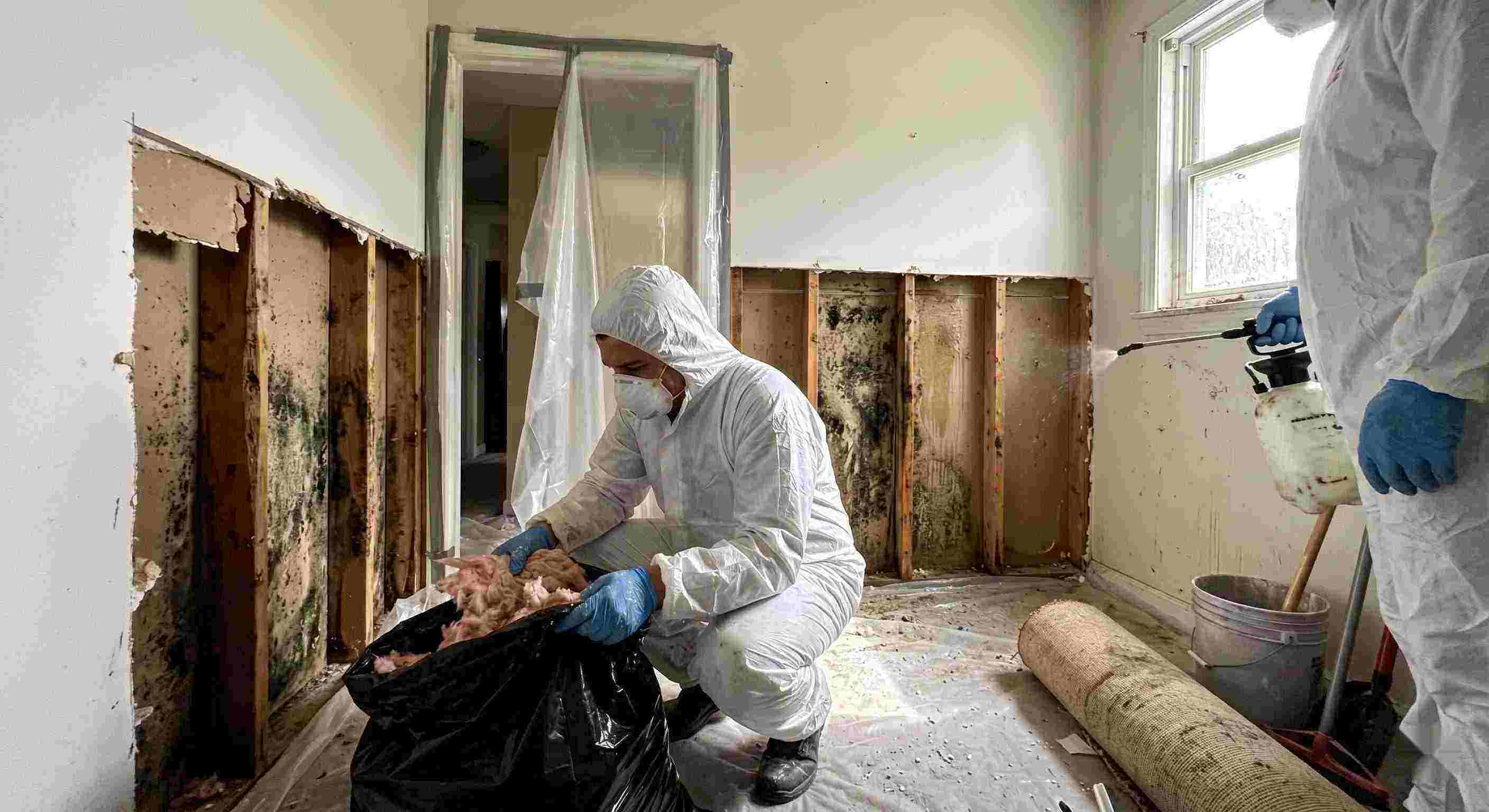 Top-rated mold remediation services removing mold behind wall in home in Susanville